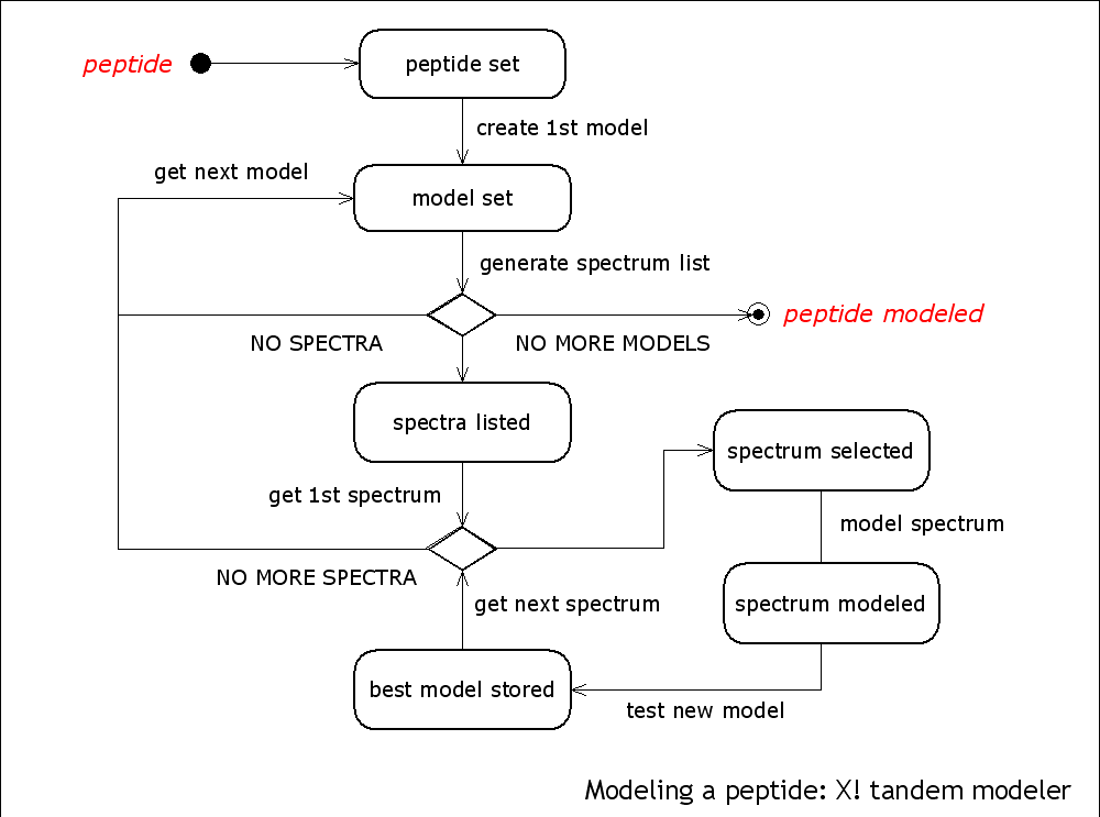 modeling a peptide